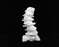 Spinal BioModel Image 5